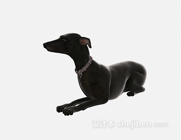 免费黑色狗动物 3d模型下载