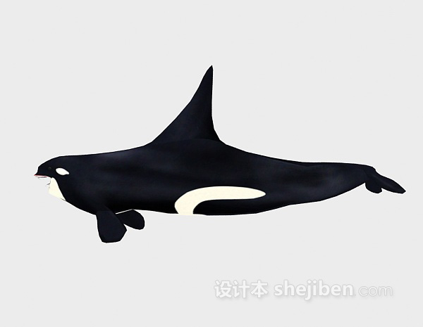 设计本大鲨鱼3d模型下载
