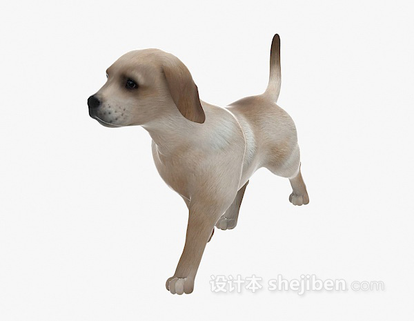 免费小狗动物3d模型下载