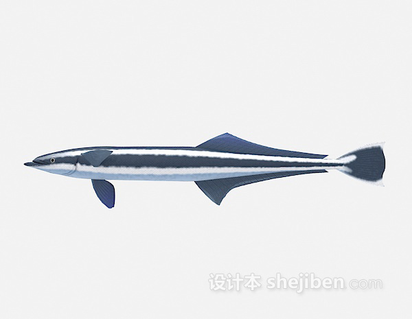 大鱼3d模型下载