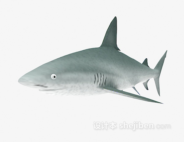 现代风格大鲨鱼3d模型下载