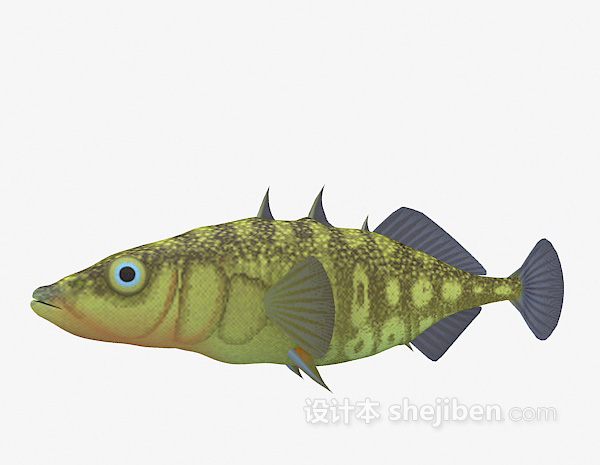 设计本黄的的鱼3d模型下载
