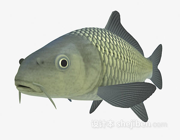 现代风格青色的鱼3d模型下载