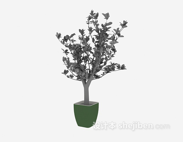 现代风格盆栽植物免费3d模型下载