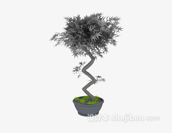 盆景植物3d模型下载