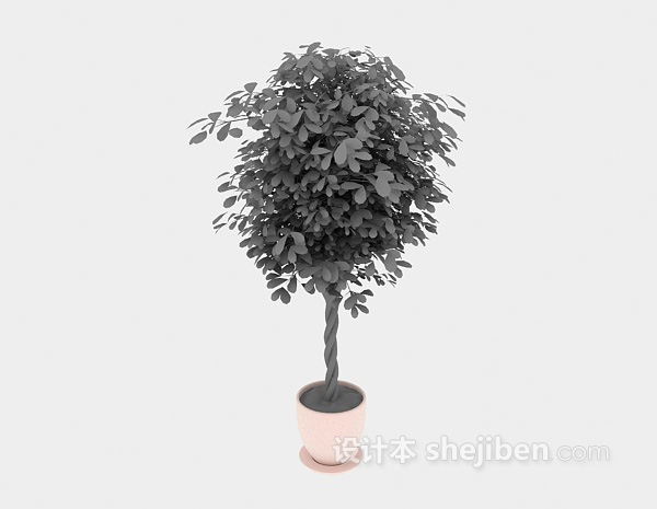 现代风格室内植物盆栽3d模型下载