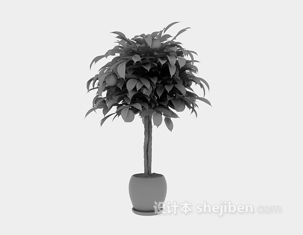 现代风格盆栽植物3d模型下载
