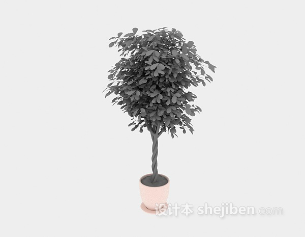 室内植物盆栽3d模型下载