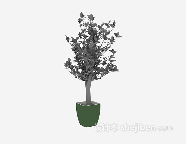 免费盆栽植物免费3d模型下载