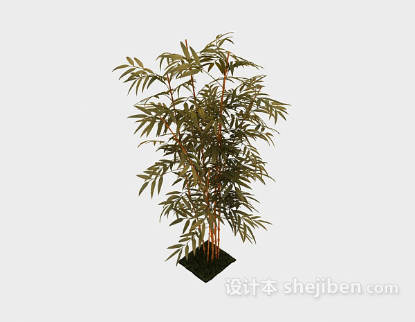 现代风格竹子植物3d模型下载