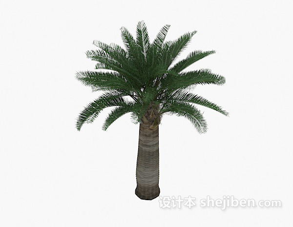 现代风格棕榈树植物3d模型下载