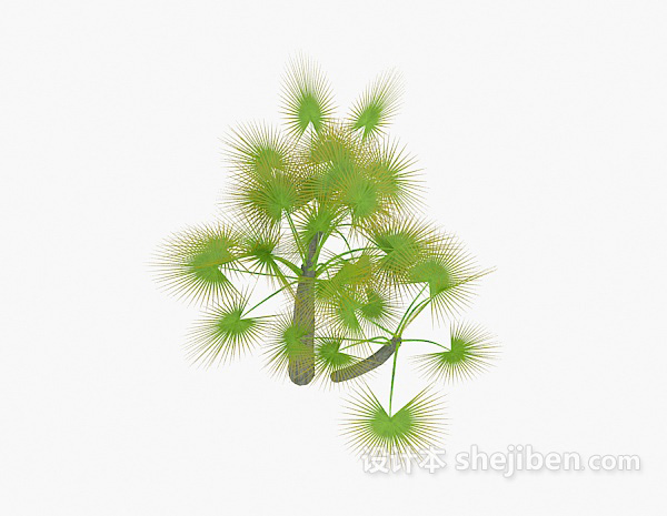 免费绿色针状植物3d模型下载