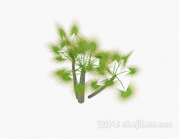 现代风格绿色针状植物3d模型下载