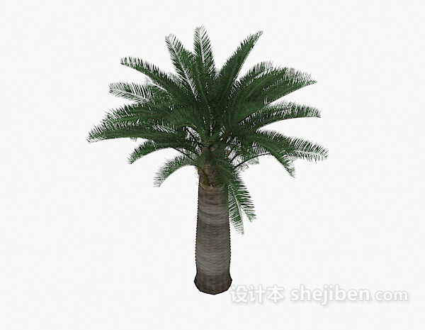 棕榈树植物3d模型下载