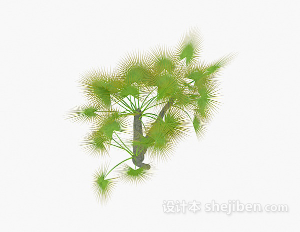 绿色针状植物3d模型下载
