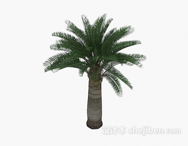 免费棕榈树植物3d模型下载