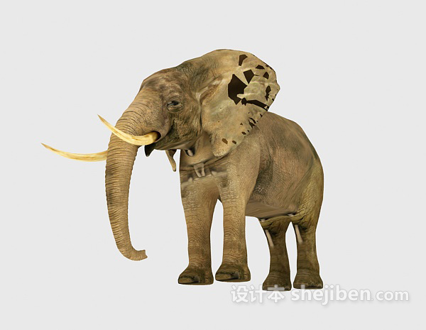 泰国大象3d模型下载