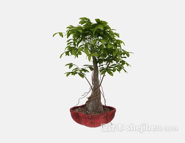 室内绿色植物3d模型下载