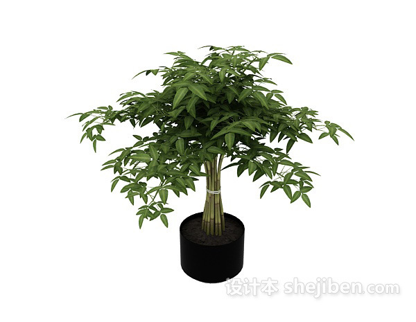 设计本室内植物3d模型下载