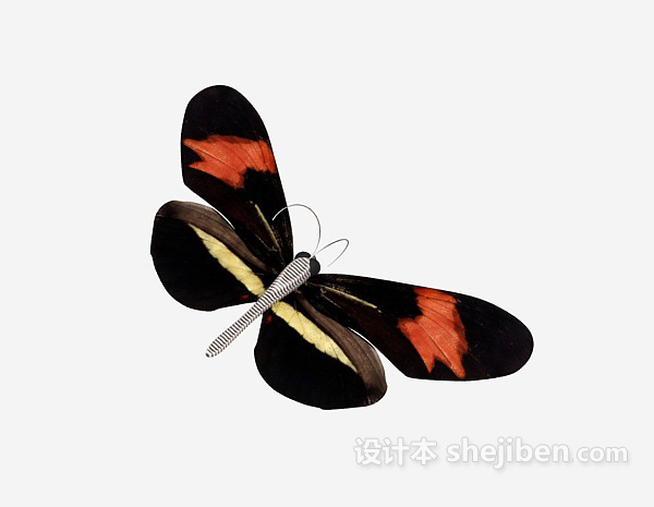 设计本蝴蝶3d模型下载