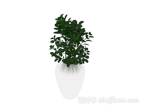 室内装饰绿植 3d模型下载