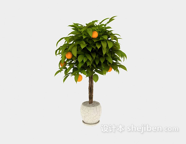 免费室内盆栽桔子树植物3d模型下载