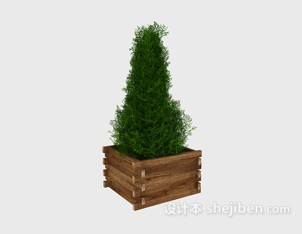 室内盆栽盆景绿色植物3d模型下载