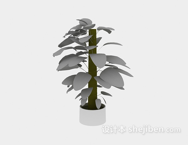 免费室内绿萝植物3d模型下载