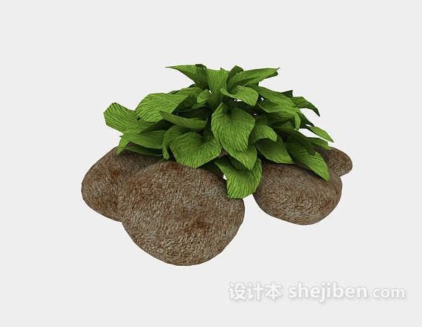 设计本室外植物3d模型下载