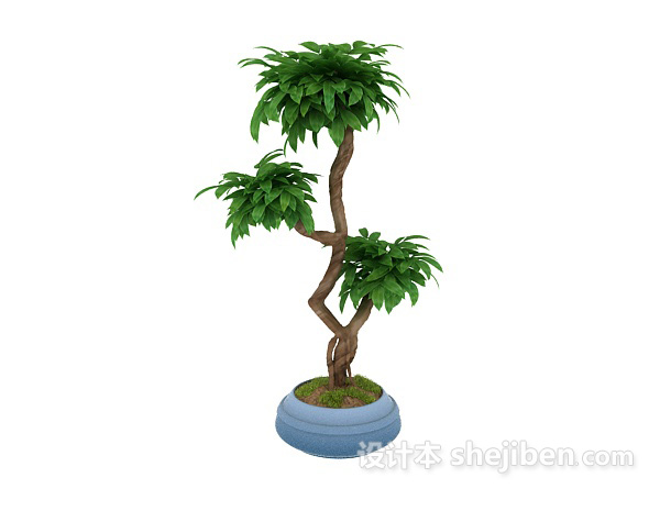 设计本植物3d模型下载