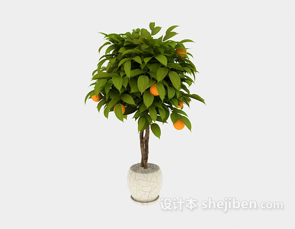 室内盆栽桔子树植物3d模型下载