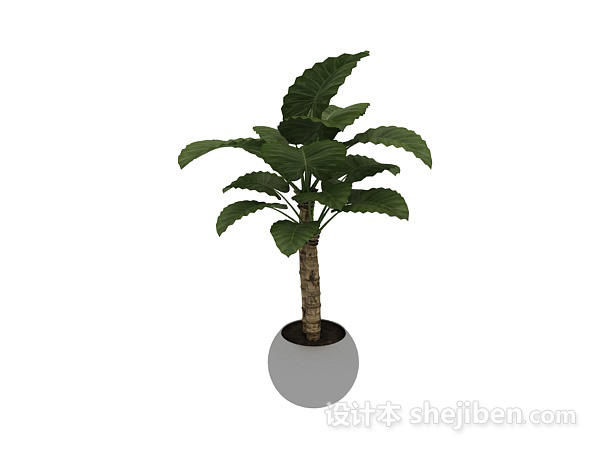 设计本室内盆栽盆景绿色植物3d模型下载