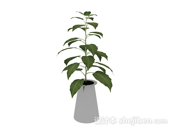 设计本盆栽绿植3d模型下载