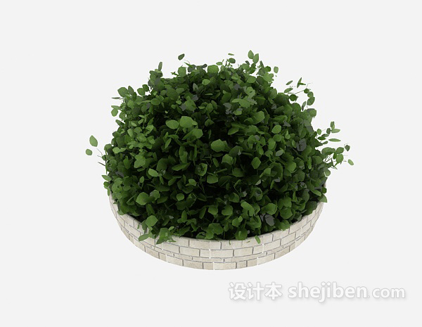 盆栽小植物3d模型下载