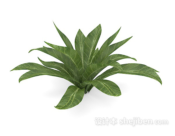 现代风格绿叶植物3d模型下载