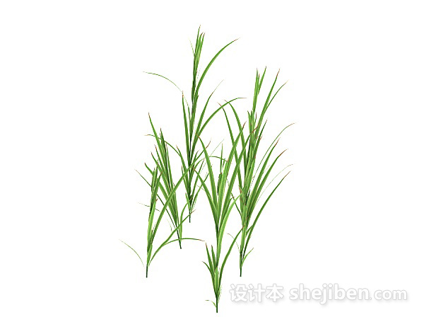 绿草绿叶植物3d模型下载