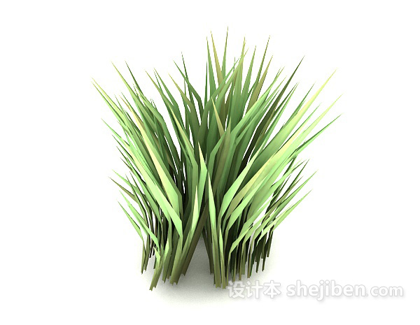现代风格绿色尖叶植物3d模型下载