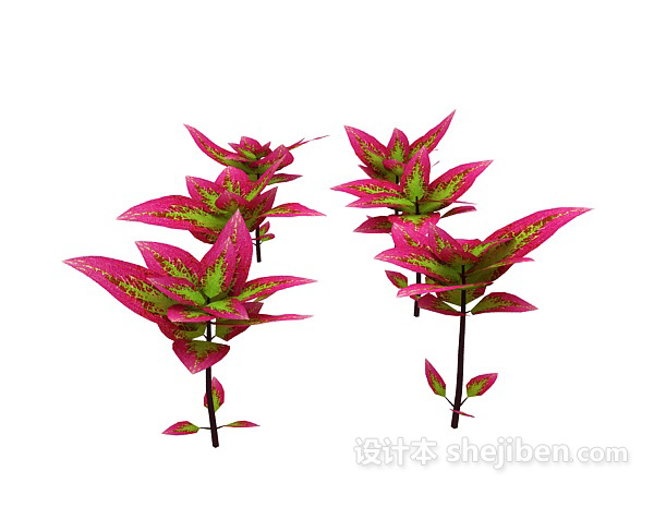 现代风格红叶室外植物3d模型下载