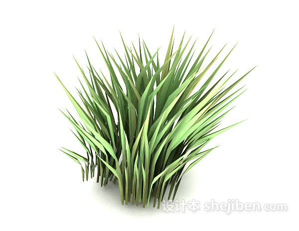 免费绿色尖叶植物3d模型下载