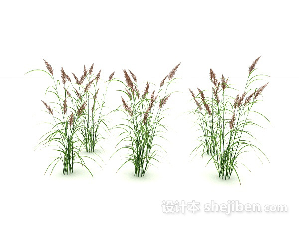 现代风格花束植物3d模型下载
