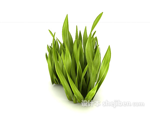 绿叶室外植物3d模型下载