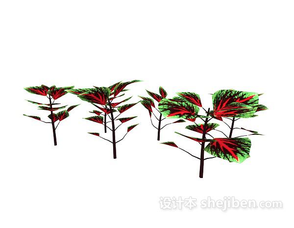 彩色叶植物3d模型下载