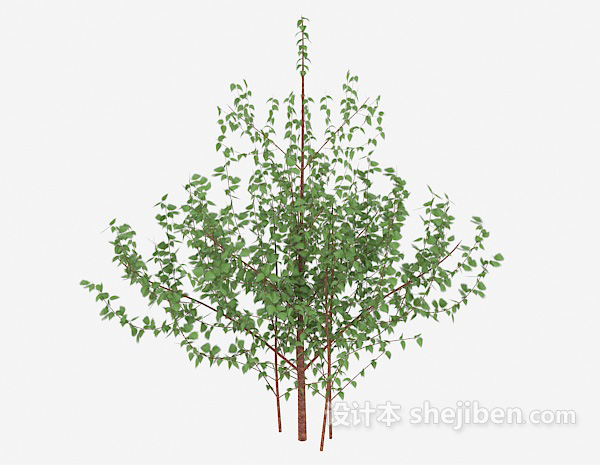 免费常见室外植物树苗3d模型下载