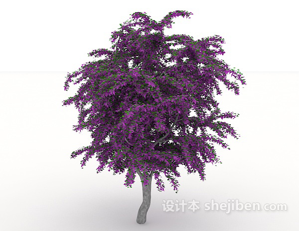 免费紫色室外植物3d模型下载