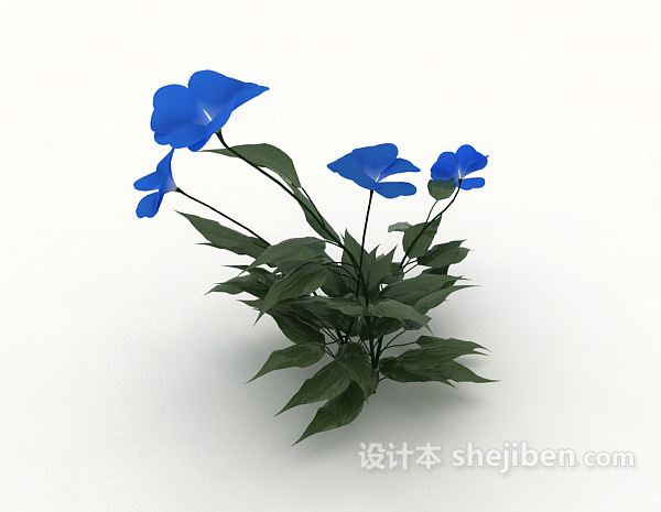 免费蓝色植物花卉3d模型下载