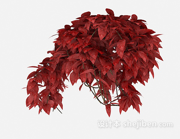 现代风格红色观赏植物3d模型下载