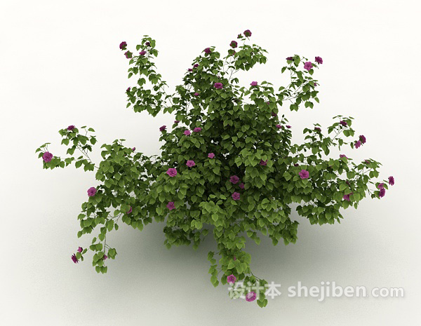 设计本丛生绿色植物3d模型下载