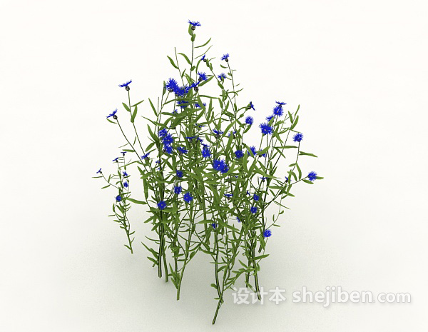 紫花植物3d模型下载
