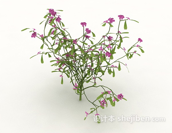 花草植物3d模型下载