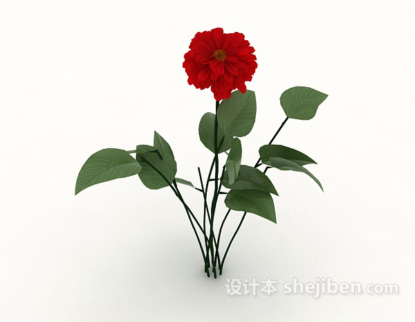 设计本红花植物3d模型下载